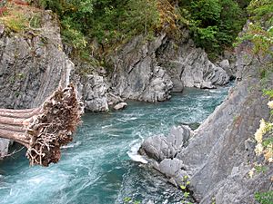 Elwha River at Goblins Gate1