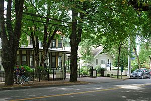 Fort Langley, Antrim Building, Trees