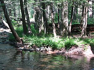 Fowlers Hollow State Park