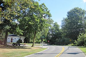 Along Fresh Ponds Road