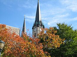 Gesu parish, trees