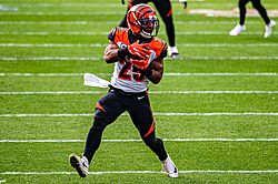 Giovani Bernard 2019