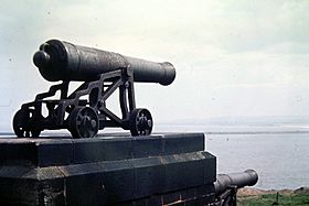 Guns on Collingwood Monument, Tynemouth