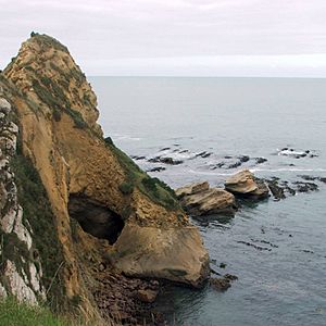 Huriawa blowhole