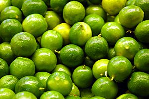 Limes