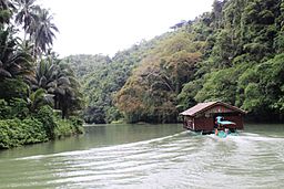 Loboc Cruise.jpg