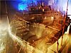 MaryRose-conservation1.jpg