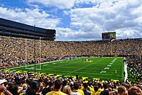 MichiganStadium2010UConn