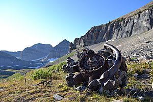 Mount Timpanogos B-25 crash site engine 2