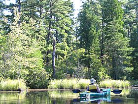 Mullica River 7