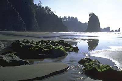 Olympic National Park coast