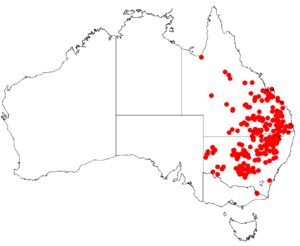 Parsonsia eucalyptophylla Dist Map13.png