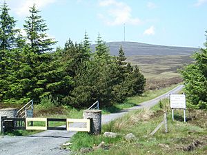 RTE Kippure Transmitting Station Entrance Gate - geograph.org.uk - 465473