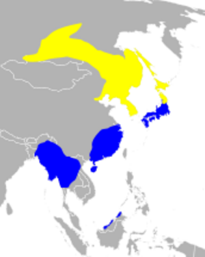 Rallus indicus distribution map.svg