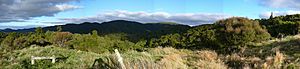 Rangitoto Range