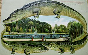 RiversideParkGator.jpg