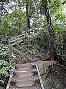 Steps on Summit Track, Hakarimata