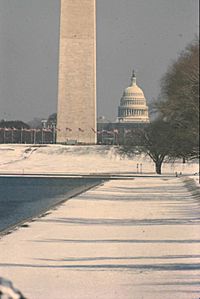 The Mall in WDC