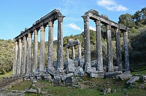 The Temple of Zeus Lepsinos at Euromus