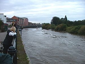 The Trent Aegir, Gainsborough - geograph.org.uk - 255311