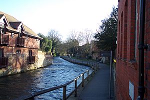 The Weirs, River Itchen, Winchester