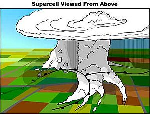 Tor supercell above