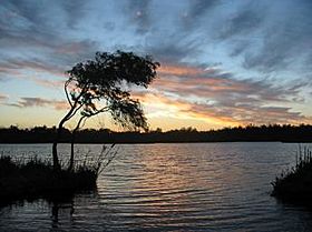 Yanchep sunset.jpg