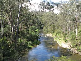 Yarra River Pound Bend.JPG