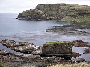 Agattu Island by Karen Laing USFWS