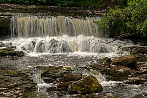 Aysgarth Falls 9190