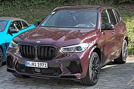 BMW X5 M (G05) IMG 3370