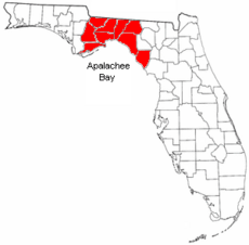 BigbendFla