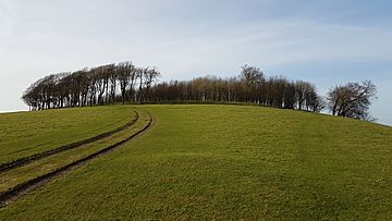 Chanctonbury Ring south-east view.jpg