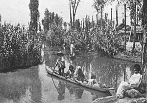 Chinampas