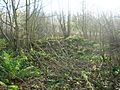 Eglinton Corsehill lodge ruins