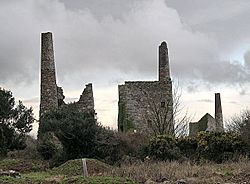 Engine houses at Wheal Peevor.jpg