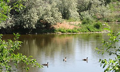 Fountation Creek Nature Center 17