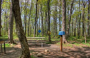 Gfp-michigan-mount-arvon-scene-at-the-top-of-arvon.jpg