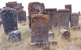 Gravestones of Noradus 29