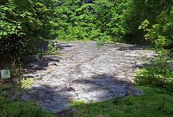 Grotto at Petrified Sea Gardens.jpg