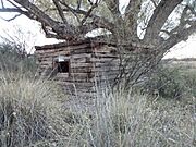 Hereford-San Pedro House-Log Cabin-1892-2