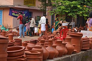 IRDP Meela, Thrissur DSC 1790