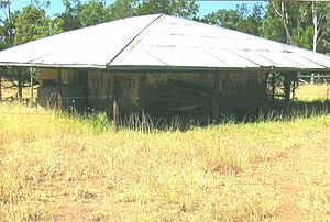 Irlam's Ant Bed Building.jpg