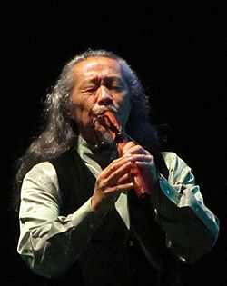 Kitaro tehran 2014 concert (1).JPG