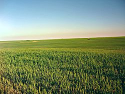 Klickitat County vast farmlands