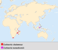 Latimeria distribution RUS