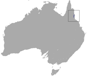 Lemur-like Ringtail Possum area.png