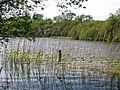 Loch Fergus, northern end