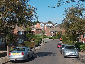 Looking down Pleasant Road towards Little Lane, Intake, Sheffield - geograph.org.uk - 2580093