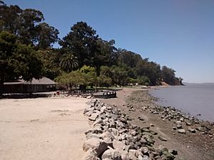 McNears Beach Park.jpg